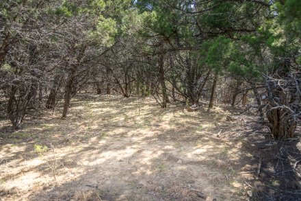 Forested Lot